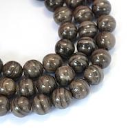 Natural Black Wood Lace Stone Round Bead Strands, 10~10.5mm, Hole: 1.2mm, about 36pcs/strand, 15.5 inch(G-E334-10mm-03)
