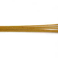 Tiger Tail Wire, Nylon-coated 201 Stainless Steel, Goldenrod, 21 Gauge, 0.7mm, about 2493.43 Feet(760m)/1000g(TWIR-S002-0.7mm-15)