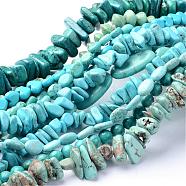 Natural Magnesite Bead Strands, Dyed & Heated, Mixed Shapes, Dark Turquoise, 5~30x9~15x4~9mm, Hole: 1mm, about 40~101pcs/strand, 15.9 inch(TURQ-G930-04)