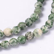 Faceted Natural Green Spot Jasper Round Bead Strands, 4mm, Hole: 1mm, about 94pcs/strand, 14.9 inch(G-L377-44-4mm)