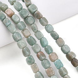 Natural Amazonite Beads Strands, Cuboid, 5~8x5~6x5~6mm, Hole: 1mm, about 51pcs/strand, 14.96~15.16''(38~38.5cm)(G-T141-32)