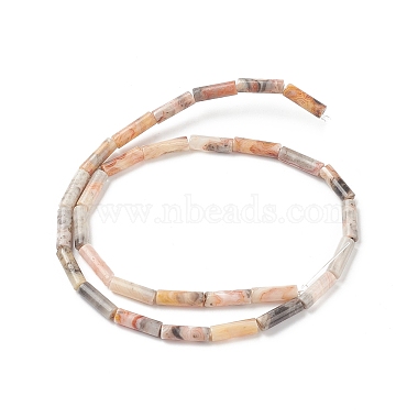 Natural Crazy Lace Agate Beads Strands(G-F247-33)-3