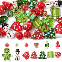 26Pcs 13 Styles Handmade Lampwork Beads, Mixed Shapes, for Christmas, Mixed Color, 10~28.5x9.5~24.5x6~14.5mm, Hole: 1~3mm, 2pcs/style(LAMP-FS0001-75)