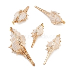 5Pcs Electroplated Natural Shell Pendants, Conch Shape Charms, Golden, 18~63x13~28x12~23mm, Hole: 2mm(BSHE-YW0001-11)