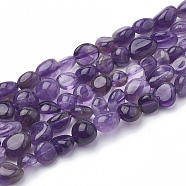 Natural Amethyst Beads Strands, Tumbled Stone, Nuggets, 3~14x2~9x2.5~8mm, Hole: 1mm, about 50~55pcs/strand, 15.94 inch(G-S340-10)