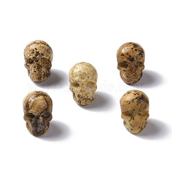 Natural Picture Jasper Beads, Skull, 13x10x11.5mm, Hole: 1mm(G-I352-05)