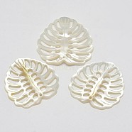 Natural Mother of Pearl Shell Pendants, Tropical Leaf Charms, Monstera Leaf, White, 28~31x28~30x2~3.5mm, Hole: 1.5~2mm(SSHEL-L002-09)