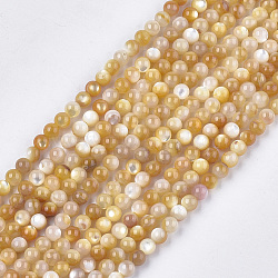 Yellow Shell Beads Strands, Round, Gold, 4mm, Hole: 0.7mm, about 94pcs/strand, 15.3 inch(X-SHEL-S274-93C)