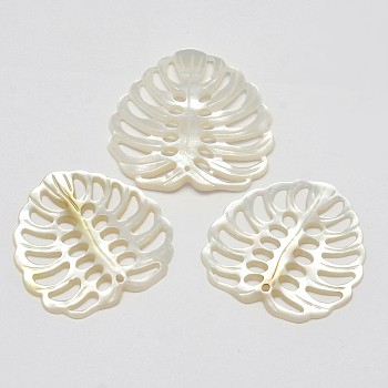 Natural Mother of Pearl Shell Pendants, Tropical Leaf Charms, Monstera Leaf, White, 28~31x28~30x2~3.5mm, Hole: 1.5~2mm
