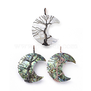 Natural Shell Wire Wrapped Pendants, with Brass Findings, Long-Lasting Plated, Moon, 47x31.5x10mm, Hole: 6.5x4.5mm(SSHEL-L015-16)