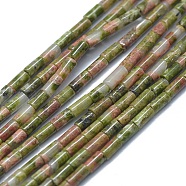 Natural Unakite Beads Strands, Column, 4~5x2~2.5mm, Hole: 0.6~0.8mm, about 90~102pcs/strand, 15.3~15.7 inch(39~40cm)(G-F631-B01)