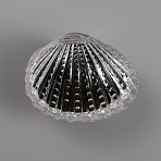 Acrylic Jewelry Box, with Sponge, Shell Shaped, Black, 5.75x7.45x5.6cm, Inner Diameter: 4.5x6.3cm(OBOX-WH0016-02A)