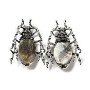 Dual-use Items Alloy Insects Brooch, with Natural Black Lip Shell, Antique Silver, Gray, 49.5x35.5x15~16mm, Hole: 4x2.5mm(JEWB-C026-05L-AS)