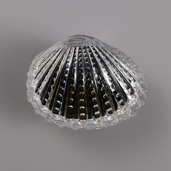Acrylic Jewelry Box, with Sponge, Shell Shaped, Black, 5.75x7.45x5.6cm, Inner Diameter: 4.5x6.3cm