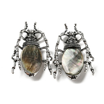 Dual-use Items Alloy Insects Brooch, with Natural Black Lip Shell, Antique Silver, Gray, 49.5x35.5x15~16mm, Hole: 4x2.5mm