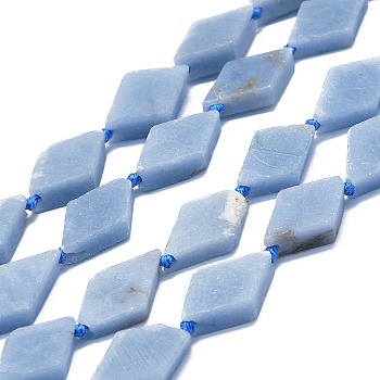 Natural Angelite Beads Strands, Rhombus, 20~22x12~13x4~5mm, Hole: 1mm, about 19pcs/strand, 16.73''(42.5cm)
