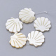 Natural Freshwater Shell Beads(SHEL-T007-02)-1