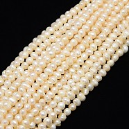 Natural Cultured Freshwater Pearl Beads Strands, Potato, Creamy White, 5~6mm, Hole: 0.8mm, about 56~57pcs/strand, 13.39 inch(34cm)(PEAR-L001-C-14)