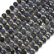 Natural Iolite Beads Strands, with Seed Beads, Faceted, Lantern, 8~8.5x6.5~7mm, Hole: 0.6mm, about 44pcs/strand, 15.16 inch(38.5cm)(G-K389-E01-01)