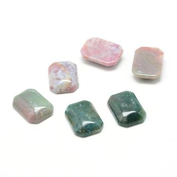 Natural Indian Agate Gemstone Cabochons, Rectangle, 25x18x7mm