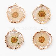 Resin Pendants, with Dried Flower and Edge Light Gold Plated Iron Loop, Flat Round, Clear, 33.5~35x31~32x4.5~5.5mm, Hole: 1.6mm(X-RESI-R428-004)