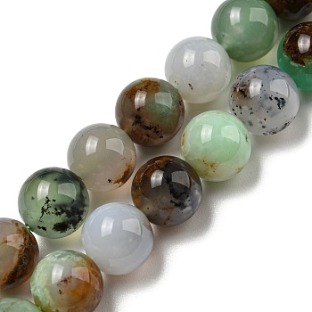 Natural Serpentine Beads Strands, Round, 10mm, Hole: 0.8mm, about 41pcs/strand, 15.91~15.98''(40.4~40.6cm)