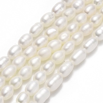 Natural Cultured Freshwater Pearl Beads Strands, Rice, Linen, 4.5~~6.5x3.5~4mm, Hole: 0.6mm, about 64~71pcs/strand, 14.57''~14.96"(37~38cm)