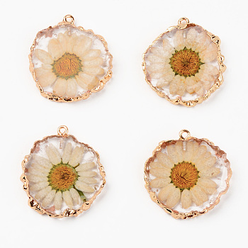 Resin Pendants, with Dried Flower and Edge Light Gold Plated Iron Loop, Flat Round, Clear, 33.5~35x31~32x4.5~5.5mm, Hole: 1.6mm