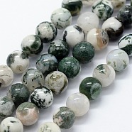 Natural Tree Agate Beads Strands, Round, 4mm, Hole: 1mm, about 95pcs/strand, 14.76 inch(37.5cm)(X-G-I199-03-4mm)