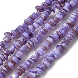 Natural Freshwater Shell Beads, Dyed, Nuggets, Lilac, 4.5~9x4.5~7x1.5~5mm, Hole: 0.8mm, about 163~165pcs/strand, 14.88~15.08''(37.8~38.3cm)(SHEL-B003-01L)