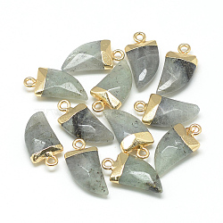 Natural Labradorite Pointed Pendants, with Brass Findings, Faceted, Tusk Shape, Golden, Light Grey, 21x11x5.5mm, Hole: 2mm(X-G-Q966-02)