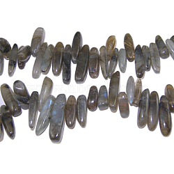 Natural Labradorite Chips Beads Strands, 12~22x5~7mm, Hole: 1mm, 16 inch(X-G416-A4)