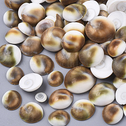 Natural Shell Cabochons, Half Round, Peru, 8~16x9~18x3~6mm(SSHEL-S258-93)