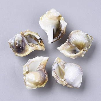 Acrylic Beads, Imitation Gemstone Style, Cone Shell, Floral White, 27.5x21.5x14mm, Hole: 1.8mm.