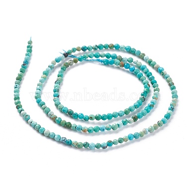 Natural HuBei Turquoise Beads Strands(G-A026-A10-2mm)-2