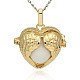 Golden Tone Brass Hollow Heart Cage Pendants(KK-J241-06G)-1