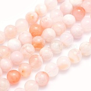Natural Cherry Blossom Agate Beads Strands, Round, 6mm, Hole: 0.8mm, about 67pcs/strand, 15.9 inch(40.5cm)(G-O166-02-6mm)