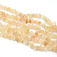 Natural Citrine Beads Strands, Chips, 5~8x5~8mm, Hole: 1mm, about 31.5 inch(G-O049-B-29)