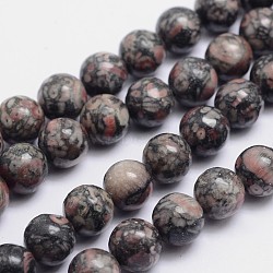 Round Natural Fossil Bead Strands, 10mm, Hole: 1mm, about 39pcs/strand, 15.74 inch(G-L419-49A)