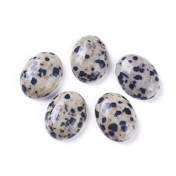 Natural Dalmatian Jasper Cabochons, for DIY Craft Photo Charms Jewelry Making, Oval, 16~16.5x12~12.5x4.5~5.5mm