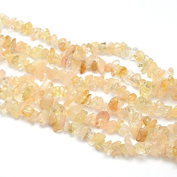 Natural Citrine Beads Strands, Chips, 5~8x5~8mm, Hole: 1mm, about 31.5 inch