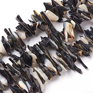 Freshwater Shell Beads Strands, Chip, Seashell Color, 10~30x7~10mm, Hole: 0.5mm, 15.3~15.5 inch(39~39.5cm)(BSHE-O017-12)