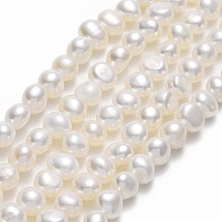 Natural Cultured Freshwater Pearl Beads Strands, Two Sides Polished, Linen, 5x5.5~6x4.5~5mm, Hole: 0.7mm, about 67pcs/strand, 13.98''(35.5cm)(PEAR-A005-09-01)