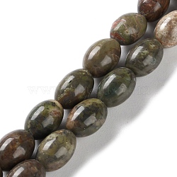 Natural Multi-Color Agate Beads Strands, Rice, 9x6mm, Hole: 1mm, about 44pcs/strand, 15.94 inch(40.5cm)(G-I369-B14-01)