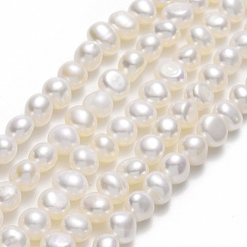 Natural Cultured Freshwater Pearl Beads Strands, Two Sides Polished, Linen, 5x5.5~6x4.5~5mm, Hole: 0.7mm, about 67pcs/strand, 13.98''(35.5cm)