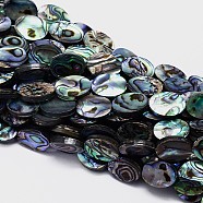 Natural Paua Shell Beads Strands, Oval, Colorful, 14x10x3mm, Hole: 1mm, about 28pcs/strand, 15.7 inch(SSHEL-J047-14B-01)