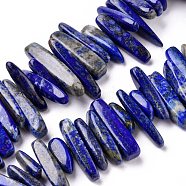 Natural Lapis Lazuli Chip Beads Strands, 12~25x5~7mm, Hole: 1mm, 16 inch(X-G416-A13)