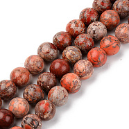 Natural American Turquoise Beads Strands, Dyed & Heated, Round, Coral, 10mm, Hole: 1mm, about 37~38pcs/strand, 15-1/8 inch(38.5cm)(G-S369-001D-B02)