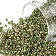TOHO Round Seed Beads, Japanese Seed Beads, (1702) Gilded Marble Green, 11/0, 2.2mm, Hole: 0.8mm, about 1110pcs/bottle, 10g/bottle(SEED-JPTR11-1702)