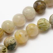 Natural Bamboo Leaf Agate Beads Strands, Round, 6mm, Hole: 1mm, about 62pcs/strand, 15.3 inch(39cm)(G-K194-6mm-01)